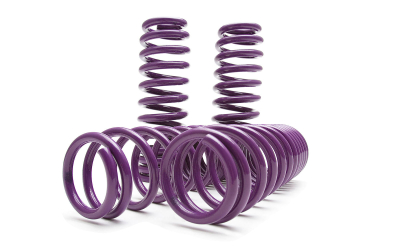 Nissan 370Z Infiniti G37 D2 Racing Lowering Springs 